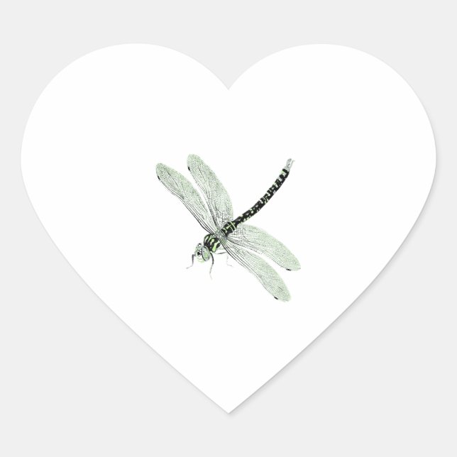Agender Pride Vintag Dragonfly Art Herz-Aufkleber (Vorderseite)