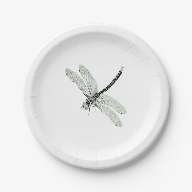 Agender Pride Vintag Dragonfly Art Pappteller (Vorderseite)