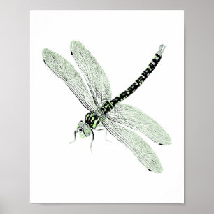 Agender Pride Vintag Dragonfly Art Poster