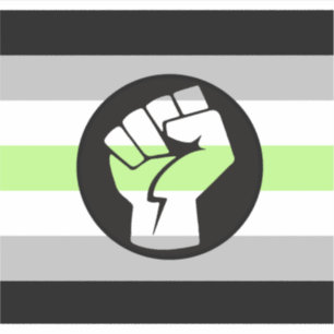 Agender-Protestflagge Aufkleber