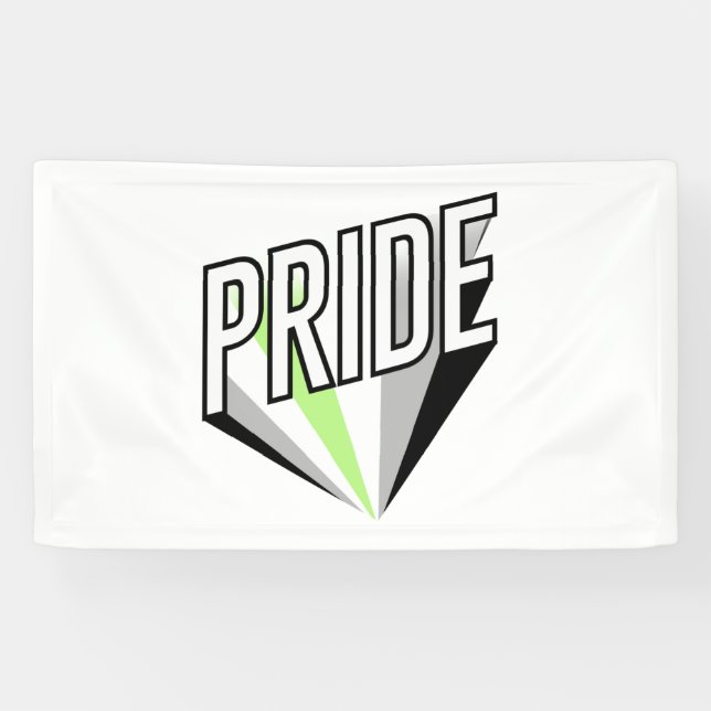 Agender Stolz Explosion Banner (Horizontal)