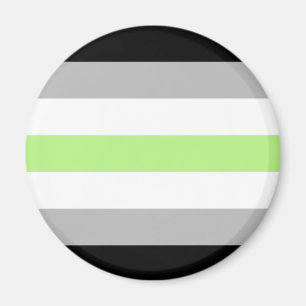 Agender-Stolz-Flagge Magnet