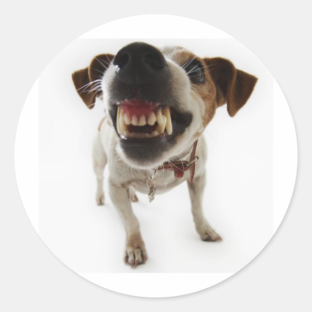 aggressiv runder aufkleber (Vorderseite)