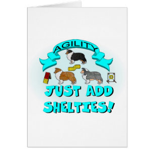 Agility - addieren Sie einfach Shelties
