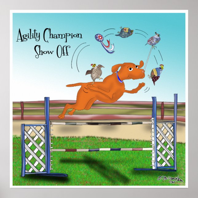 Agility Champion anzeigen Poster (Vorne)