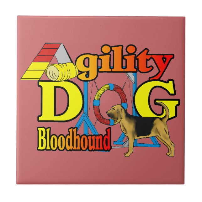 Agility Fliese (Vorderseite)