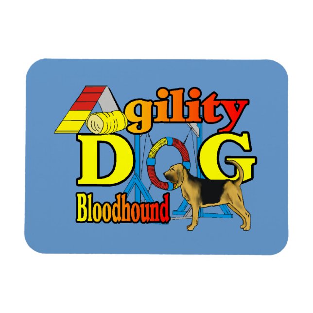 Agility Magnet (Horizontal)
