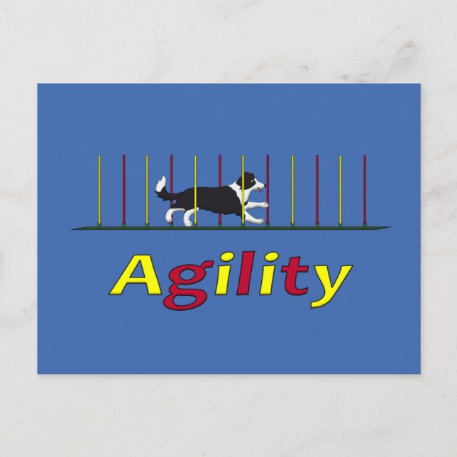 Agility Postkarte (Vorderseite)