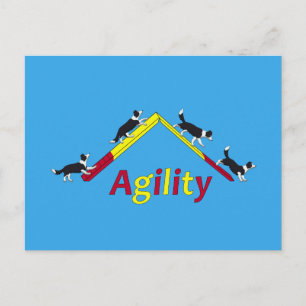 Agility Postkarte