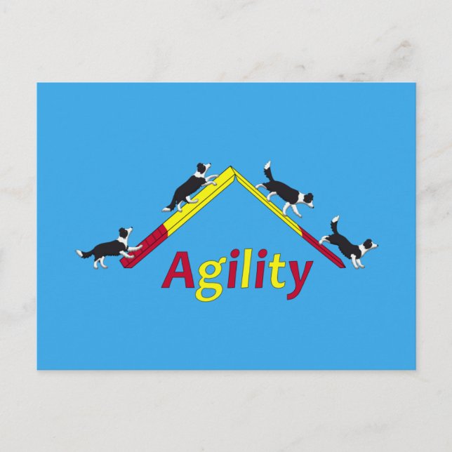 Agility Postkarte (Vorderseite)