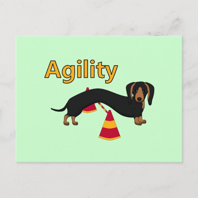 Agility Postkarte (Vorderseite)