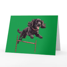 Agility Spaniel Faltkarte