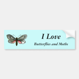 Aglaope infausta - Almond-Tree Leaf Skeletonizer Autoaufkleber