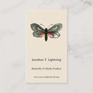 Aglaope infausta - Almond-Tree Leaf Skeletonizer B Visitenkarte