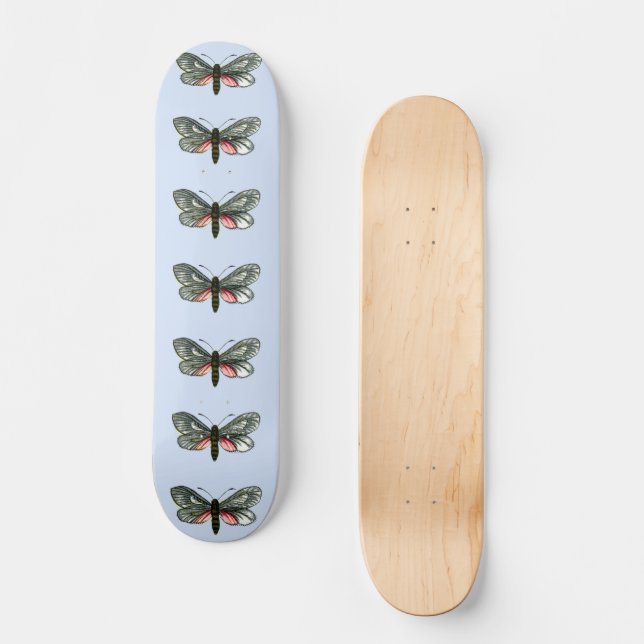 Aglaope infausta - Almond-Tree Leaf Skeletonizer S Skateboard (Vorderseite)