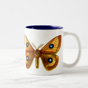 Aglia Tau männlich Zweifarbige Tasse