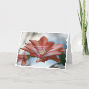 Agnes the Christmas Cactus Ecclesiastes 3:11 Feiertagskarte