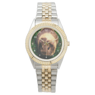 Agouti-Guinea Schwein im Gras Armbanduhr