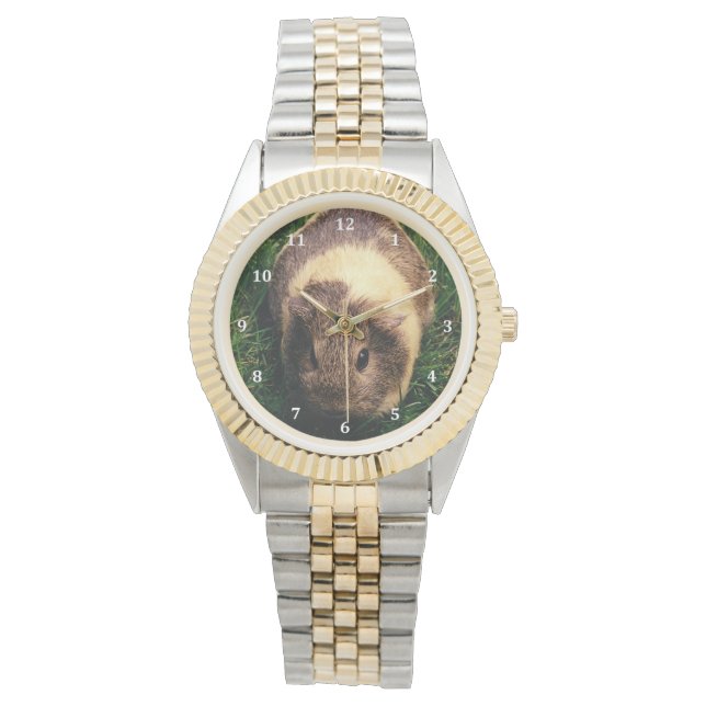 Agouti-Guinea Schwein im Gras Armbanduhr (Vorderseite)