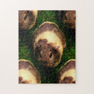 Agouti-Guinea Schwein im Gras Puzzle