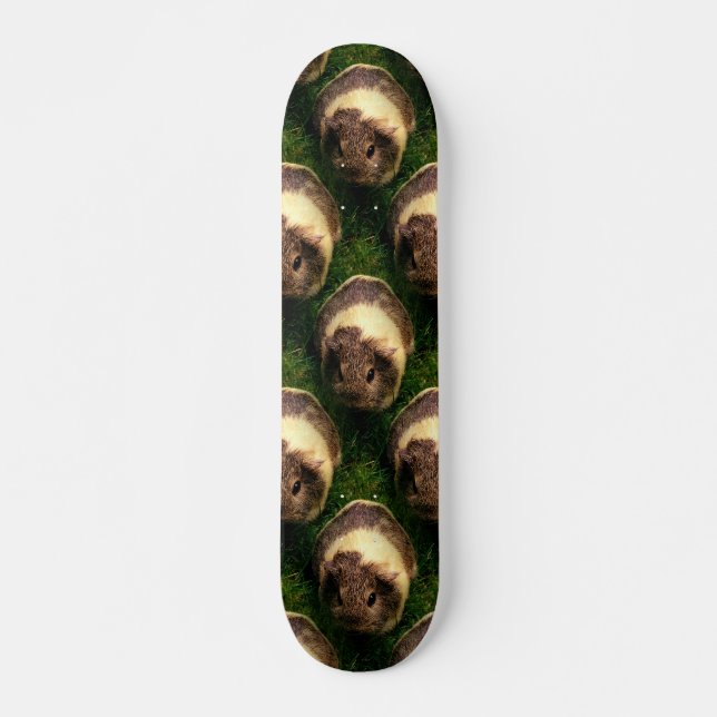 Agouti-Guinea Schwein im Gras Skateboard (Vorne)