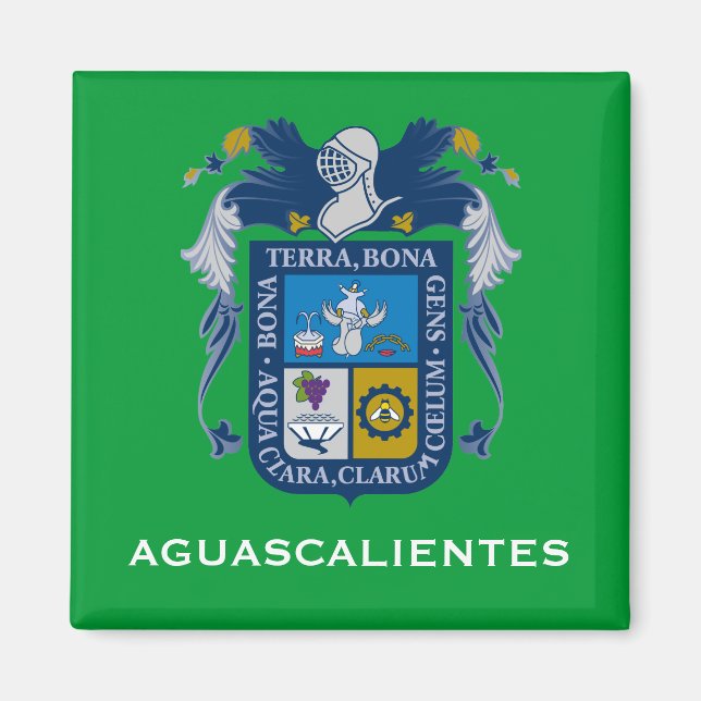 Aguascalientes Coat of Arms Magnet (Vorne)