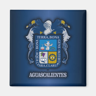 Aguascalientes Magnet