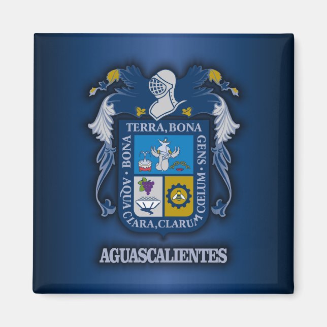 Aguascalientes Magnet (Vorne)