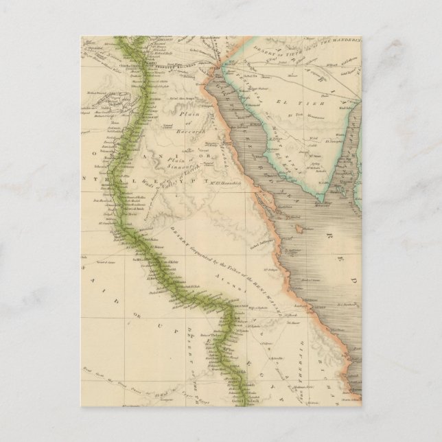 Ägypten 8 postkarte (Vorderseite)