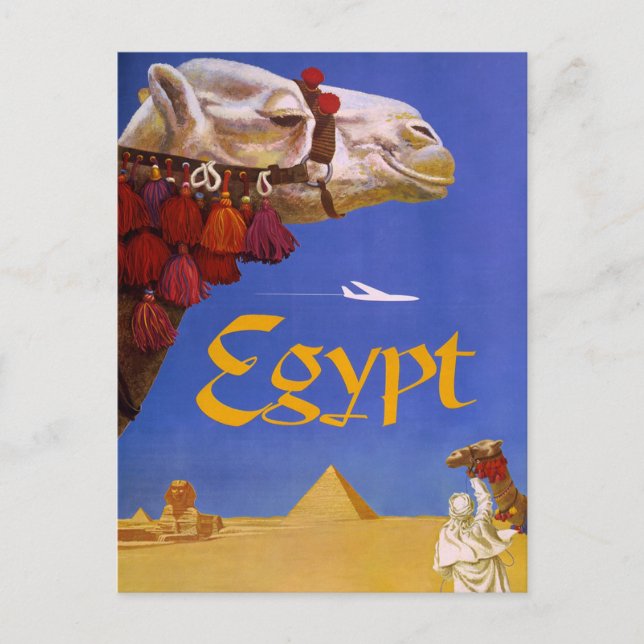Ägypten Camel Postkarte (Vorderseite)