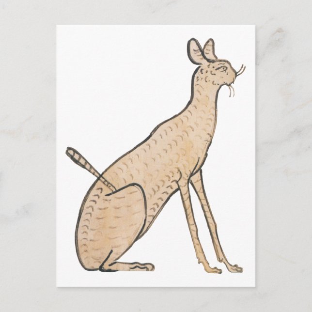 Ägypten Cat Postkarte (Vorderseite)