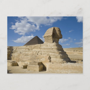 Ägypten, Giza. Die große Sphynx erhebt sich über d Postkarte