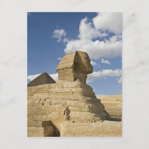 Ägypten, Gizeh. Der große Sphynx erhebt sich über  Postkarte