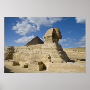 Ägypten, Gizeh. Die große Sphynx erhebt sich über  Poster