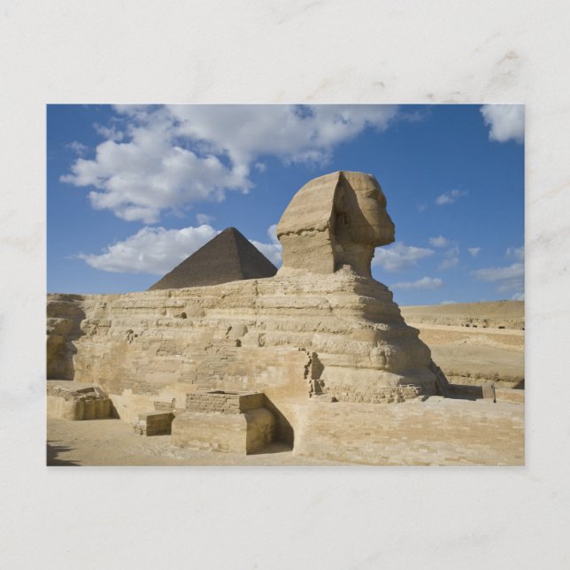 Ägypten, Gizeh. Die große Sphynx erhebt sich über  Postkarte (Vorderseite)
