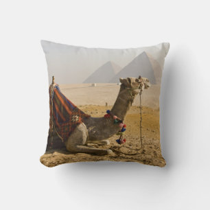 Ägypten, Kairo. Ein einsames Kamel Kissen