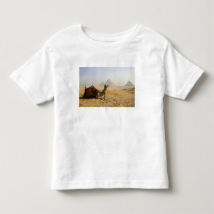 Ägypten, Kairo. Ein einsames Kamel Kleinkind T-shirt