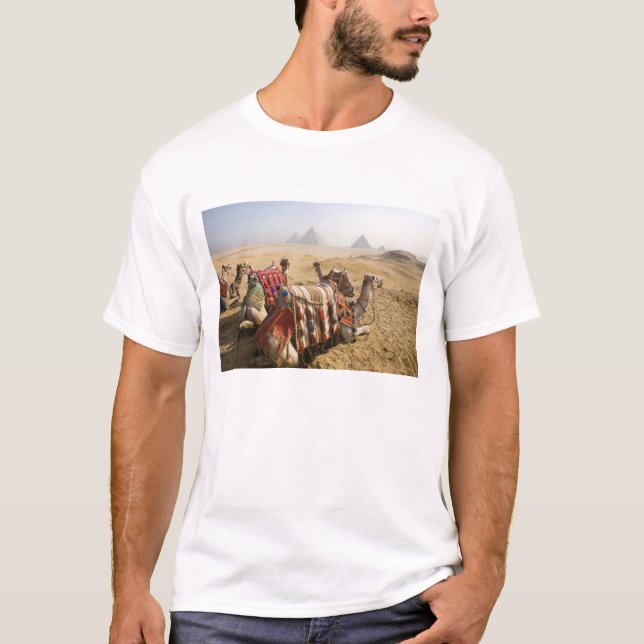 Ägypten, Kairo. Ruderkamele T-Shirt (Vorderseite)