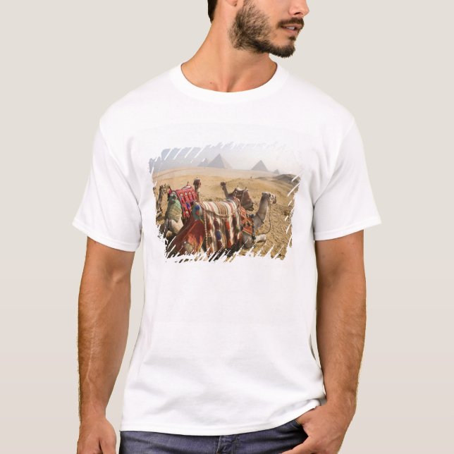 Ägypten, Kairo. Ruderkamele T-Shirt (Vorderseite)