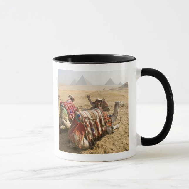 Ägypten, Kairo. Ruderkamele Tasse (Rechts)