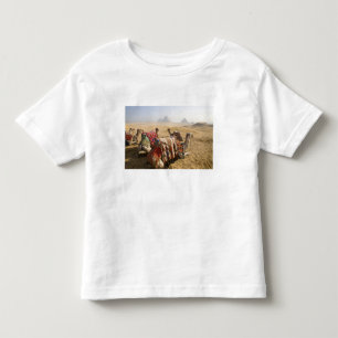 Ägypten, Kairo. Ruhende Kamele Kleinkind T-shirt