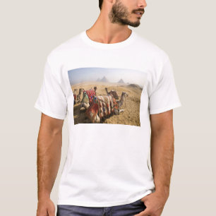 Ägypten, Kairo. Ruhende Kamele T-Shirt