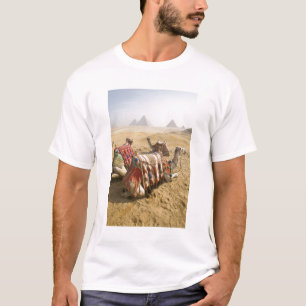 Ägypten, Kairo. Ruhende Kamele T-Shirt