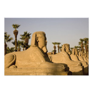 Ägypten, Luxor. Die Sphingenallee führt zu Fotodruck