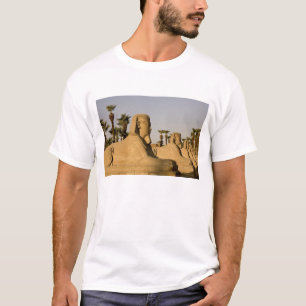 Ägypten, Luxor. Die Sphingenallee führt zu T-Shirt