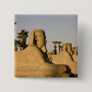 Ägypten, Luxor. Die Sphinxallee führt zu Button
