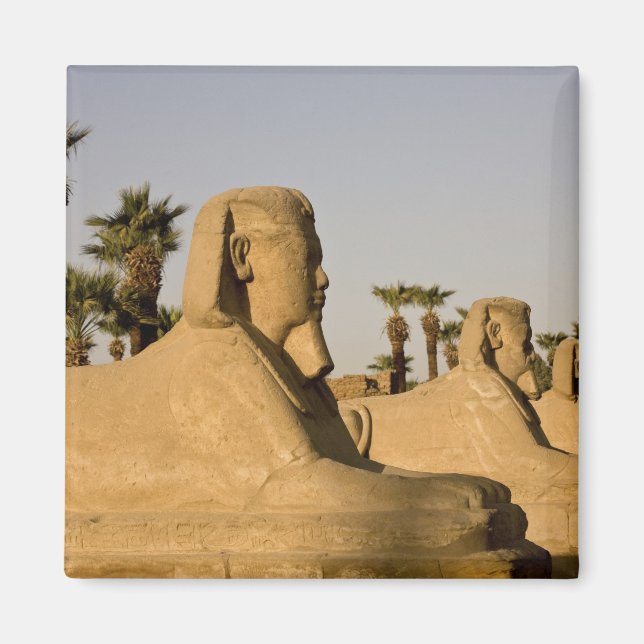 Ägypten, Luxor. Die Sphinxavenue führt Magnet (Vorne)