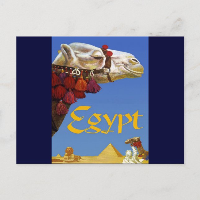 Ägypten Postkarte (Vorderseite)