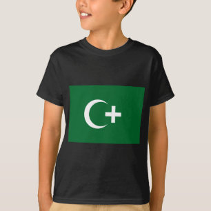 Ägypten-Revolution Flag (1919) T-Shirt