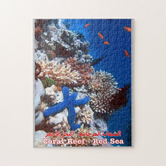 Ägypten - Rotes Meer - Barrier Reef - Puzzle (Vertikal)